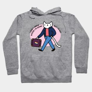 I don’t know where I’m going but I’m gay cute cat design meme Hoodie